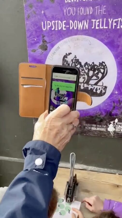 Chester Zoo WebAR upside-down jellyfish station scan result