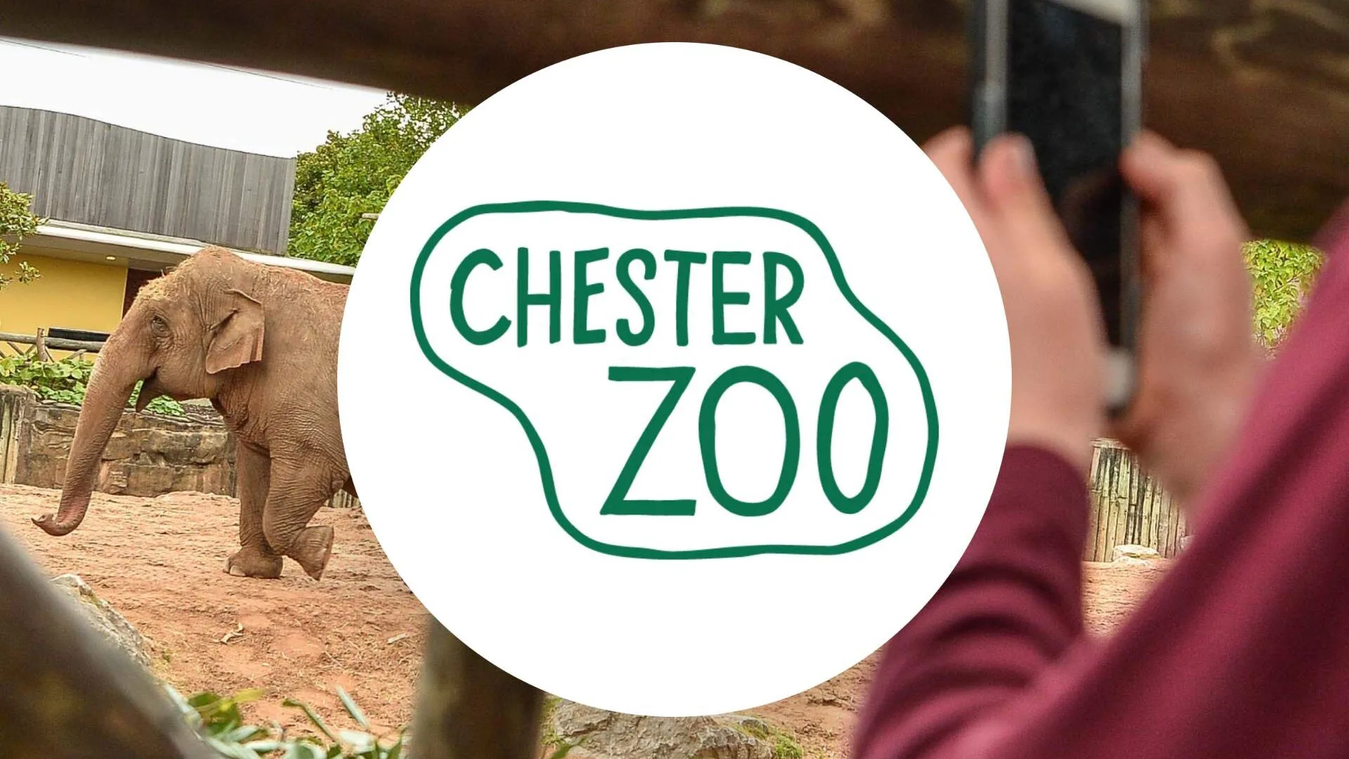 Chester Zoo Luna's Lost Spell QR launched WebAR trail